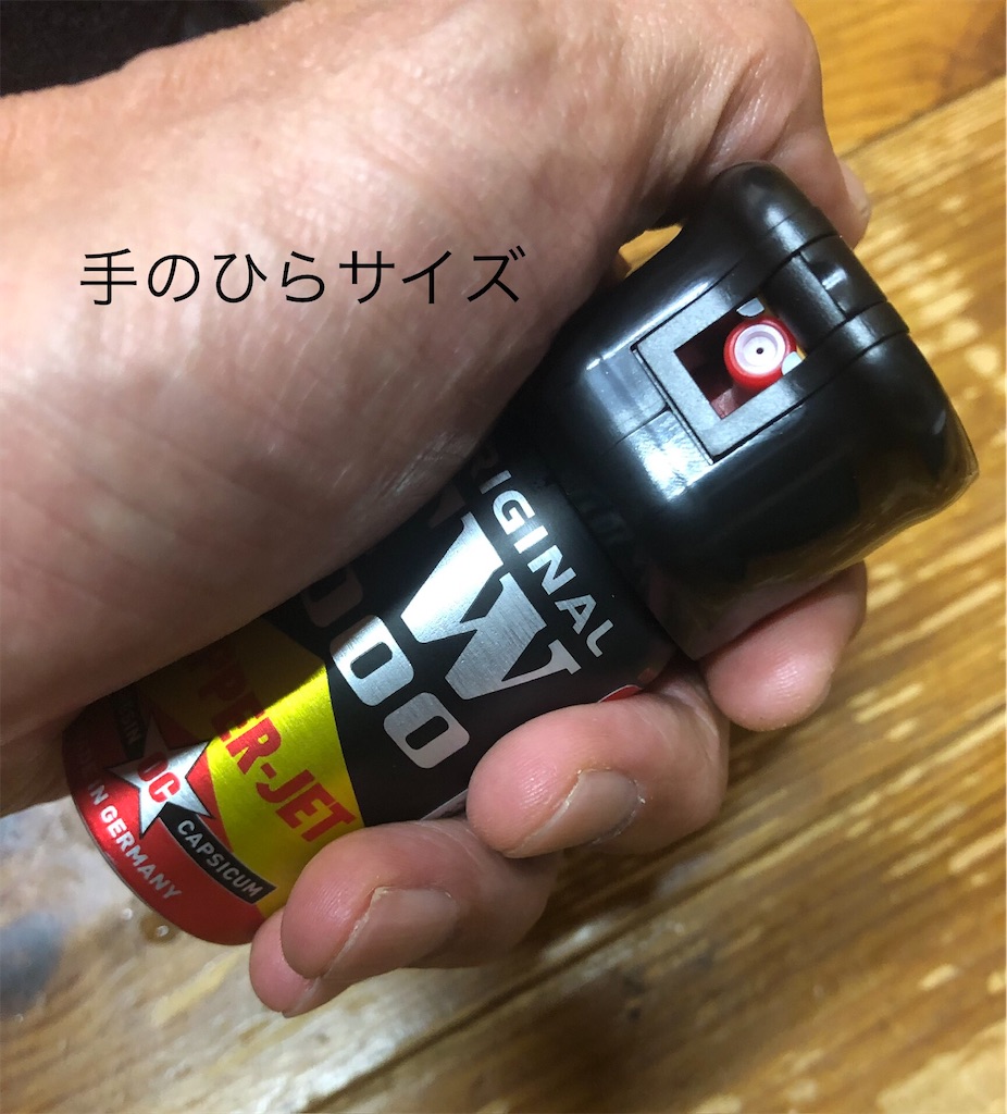 f:id:pirokitan:20240923222444j:image