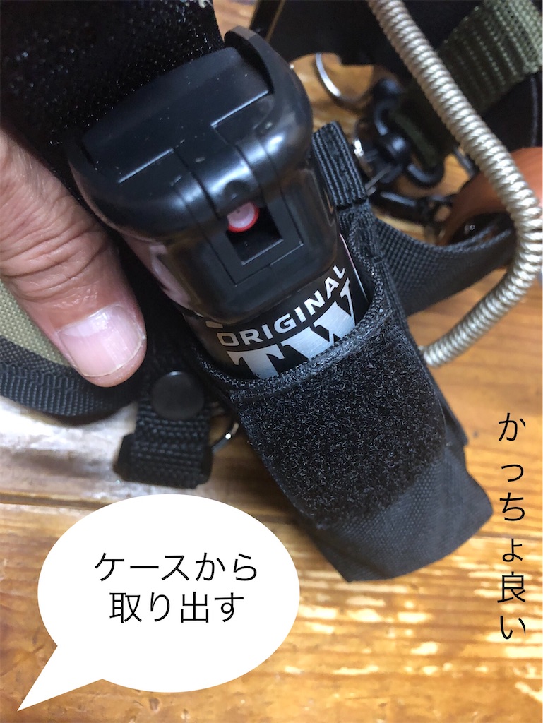 f:id:pirokitan:20240923222520j:image