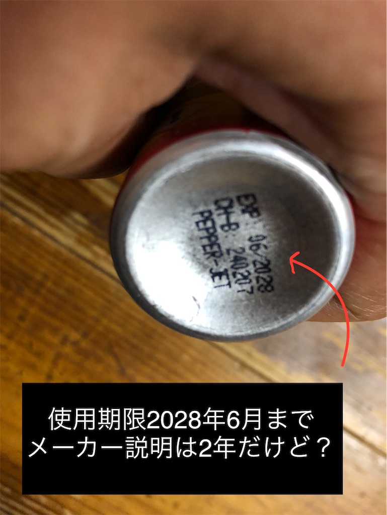f:id:pirokitan:20240923223013j:image