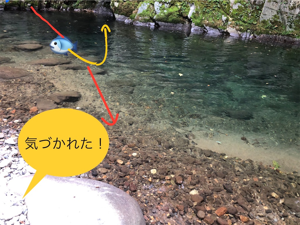 f:id:pirokitan:20240926054206j:image