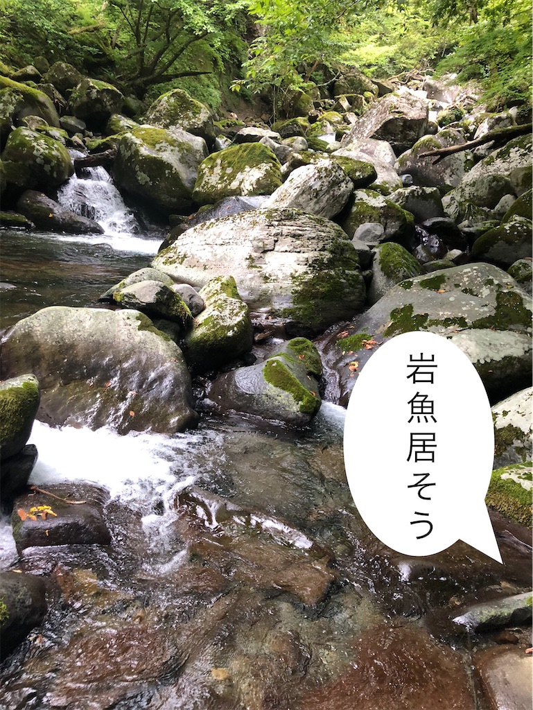 f:id:pirokitan:20240926054451j:image