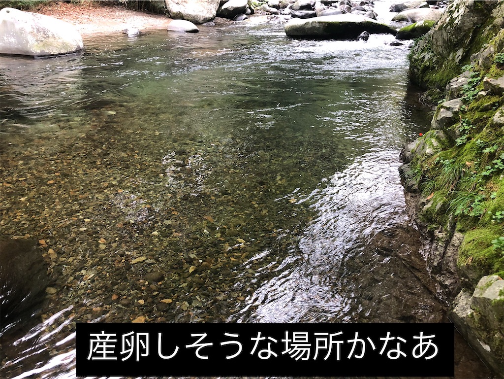 f:id:pirokitan:20240926201400j:image