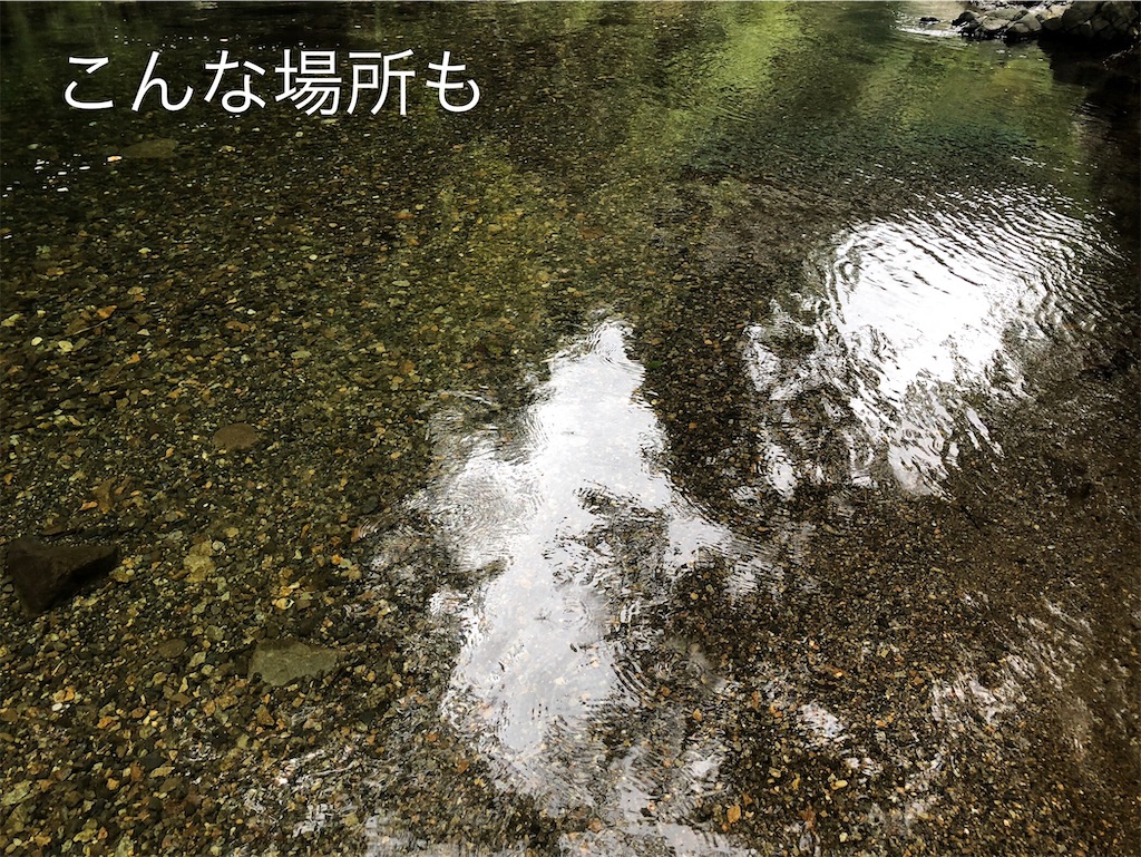 f:id:pirokitan:20240926201424j:image