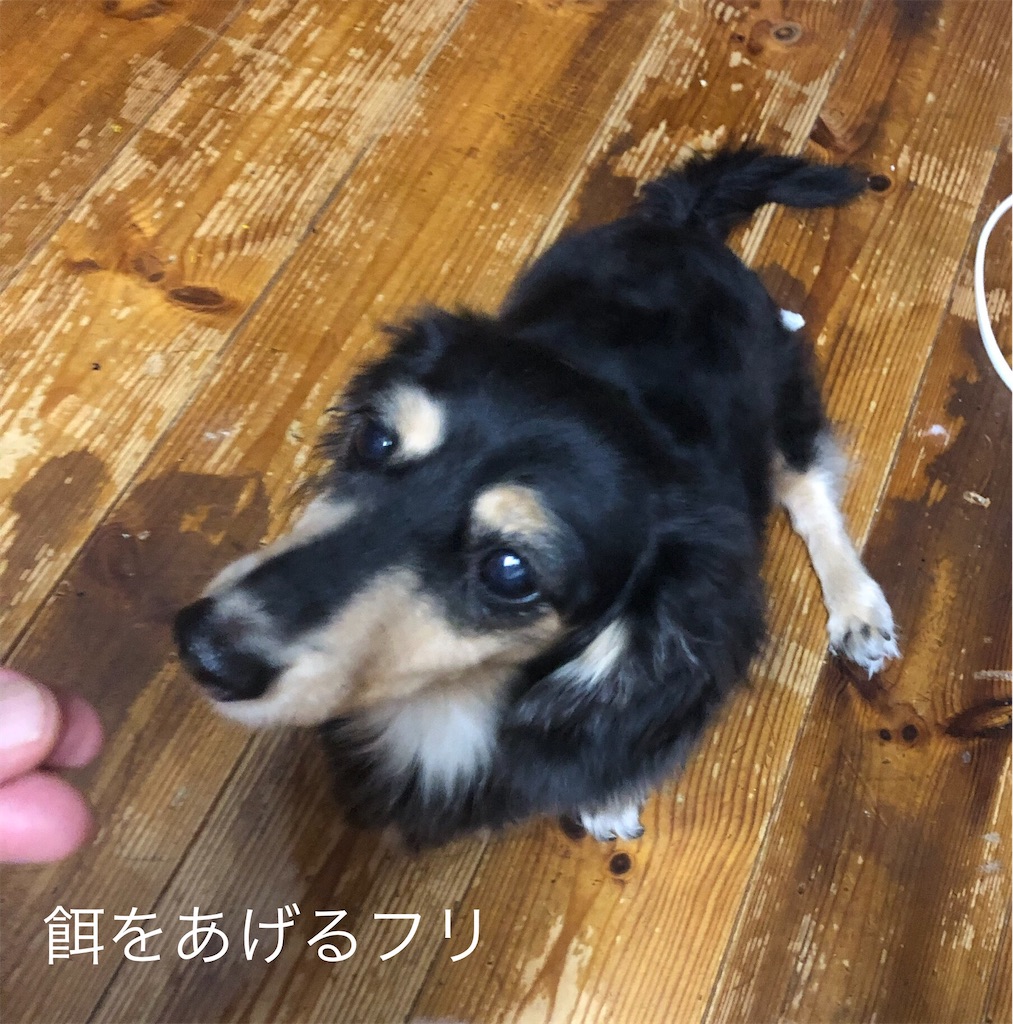 f:id:pirokitan:20241004164359j:image