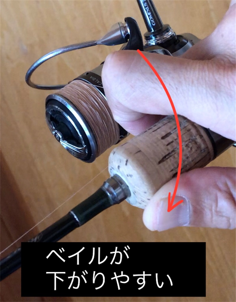 f:id:pirokitan:20241012132235j:image