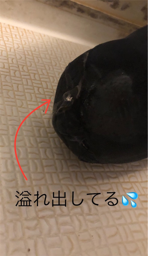 f:id:pirokitan:20241014134147j:image