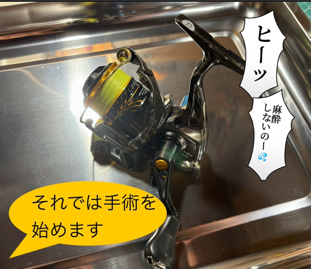 f:id:pirokitan:20241031085957j:image