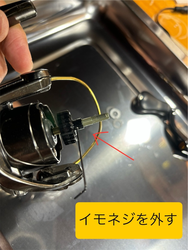 f:id:pirokitan:20241102092001j:image