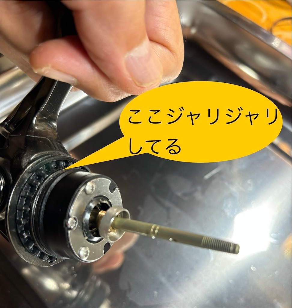 f:id:pirokitan:20241102092146j:image