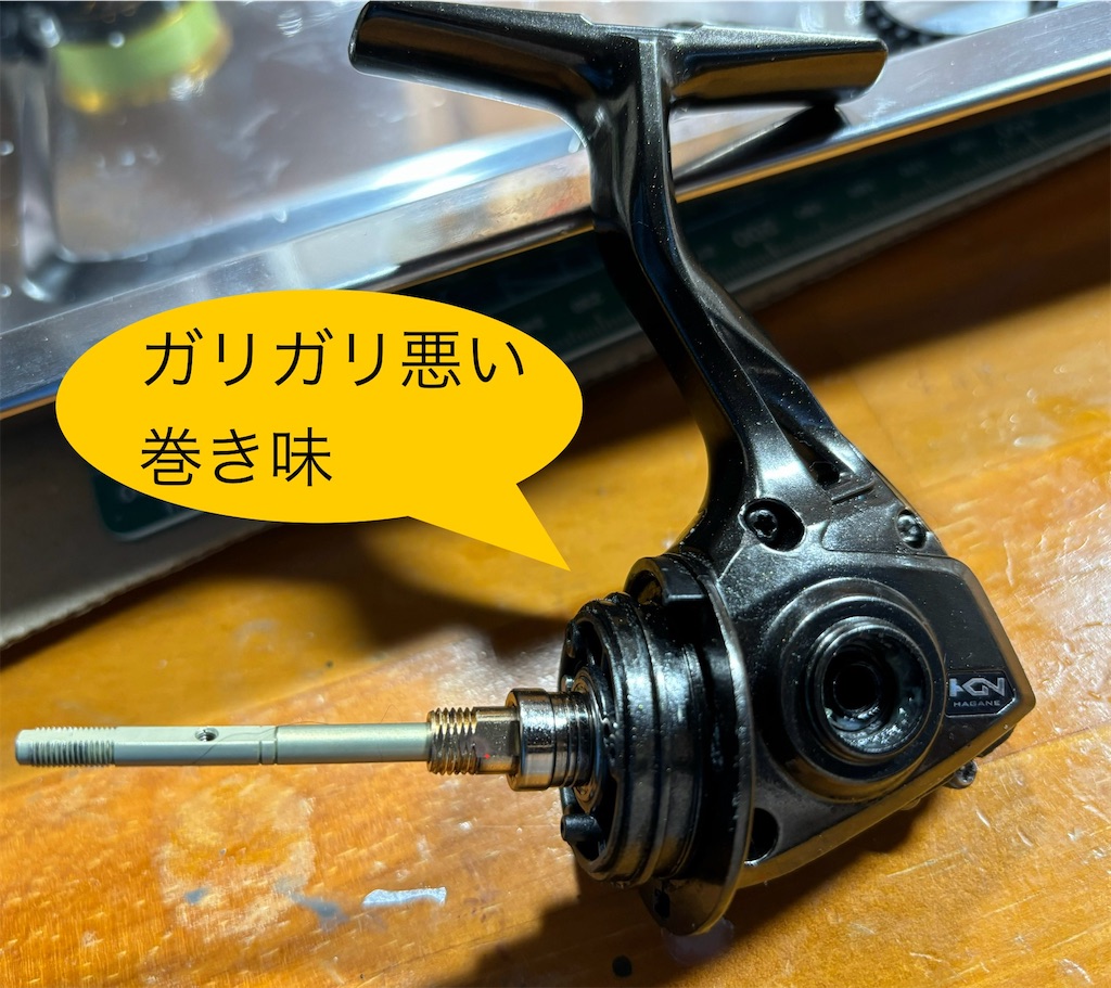 f:id:pirokitan:20241103222710j:image