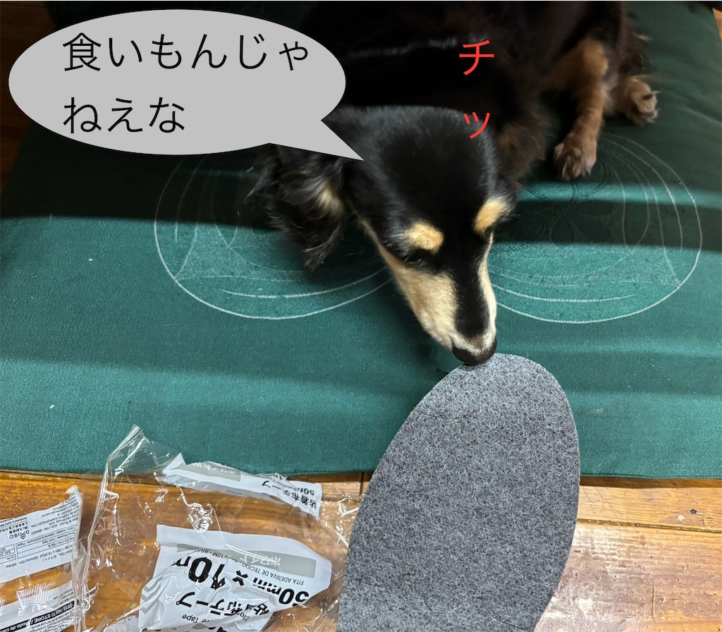 f:id:pirokitan:20241107090257j:image