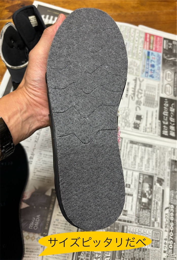 f:id:pirokitan:20241107091507j:image