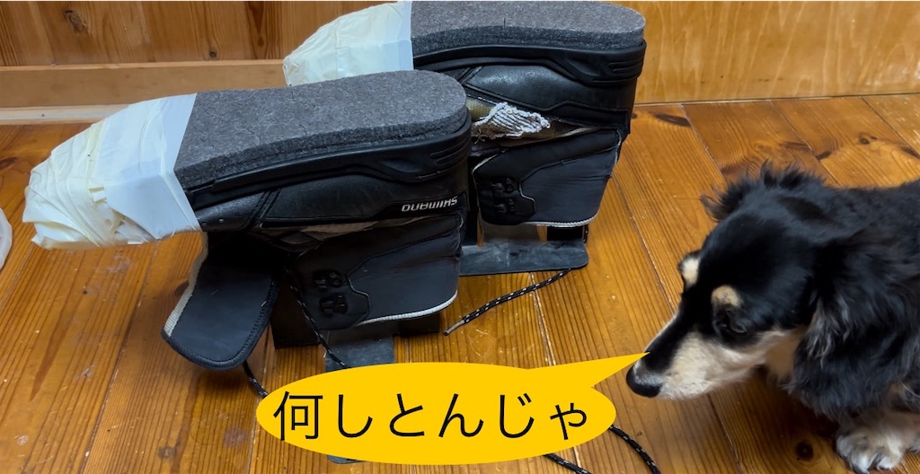 f:id:pirokitan:20241107132005j:image