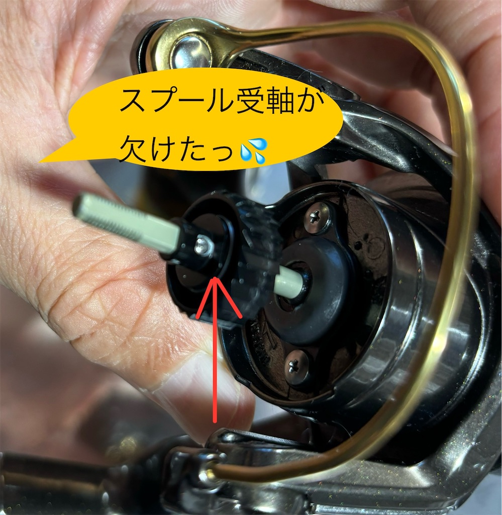 f:id:pirokitan:20241110204316j:image