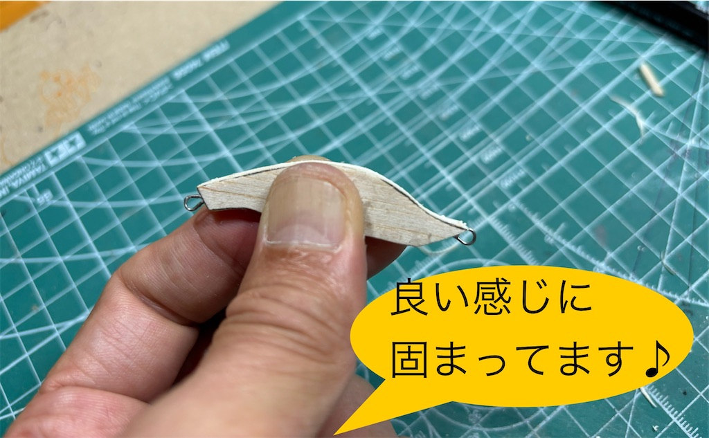 f:id:pirokitan:20241111082533j:image