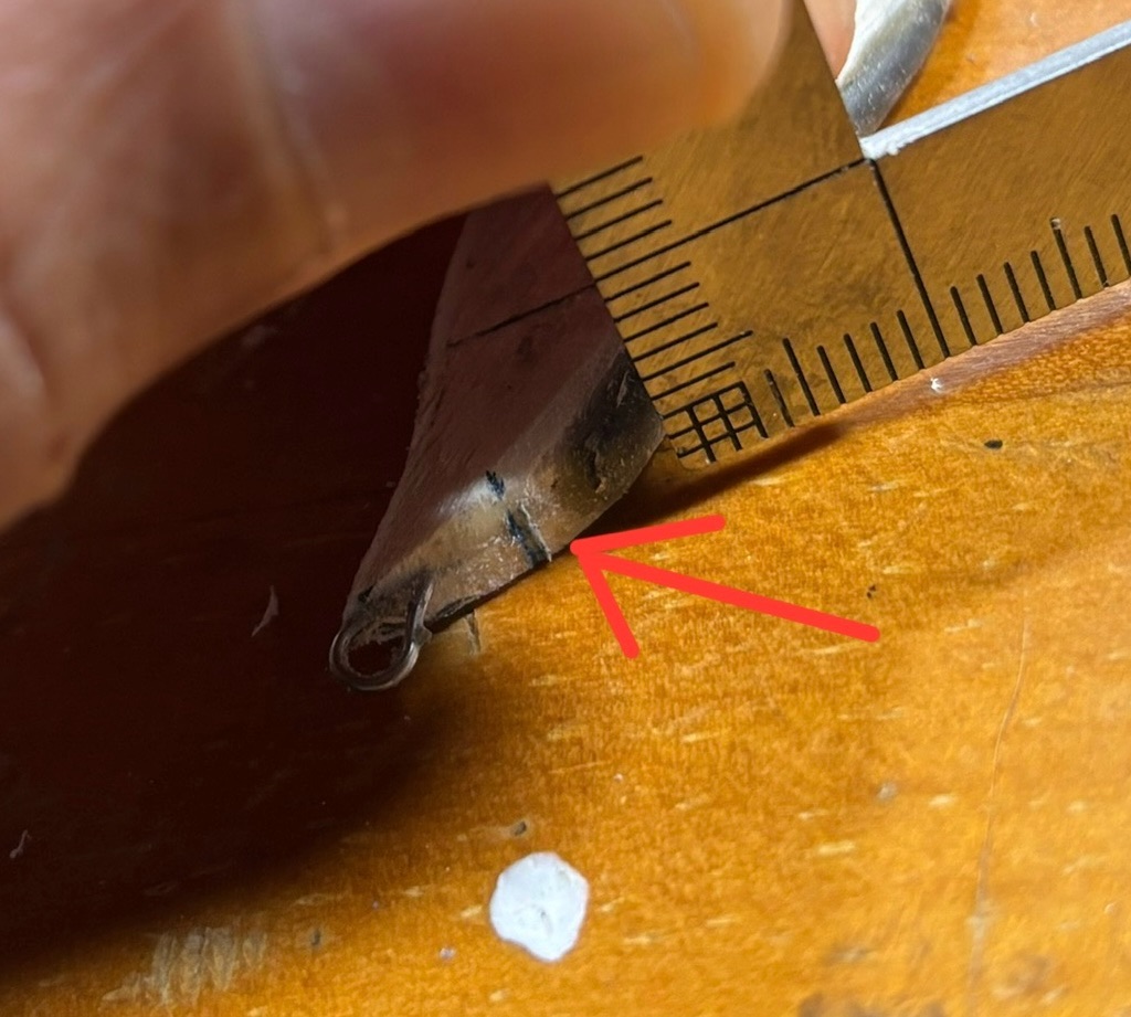 f:id:pirokitan:20241114164247j:image