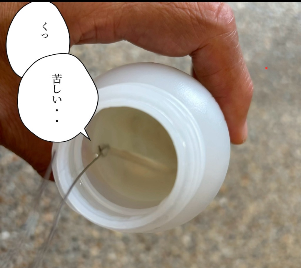 f:id:pirokitan:20241114164536j:image