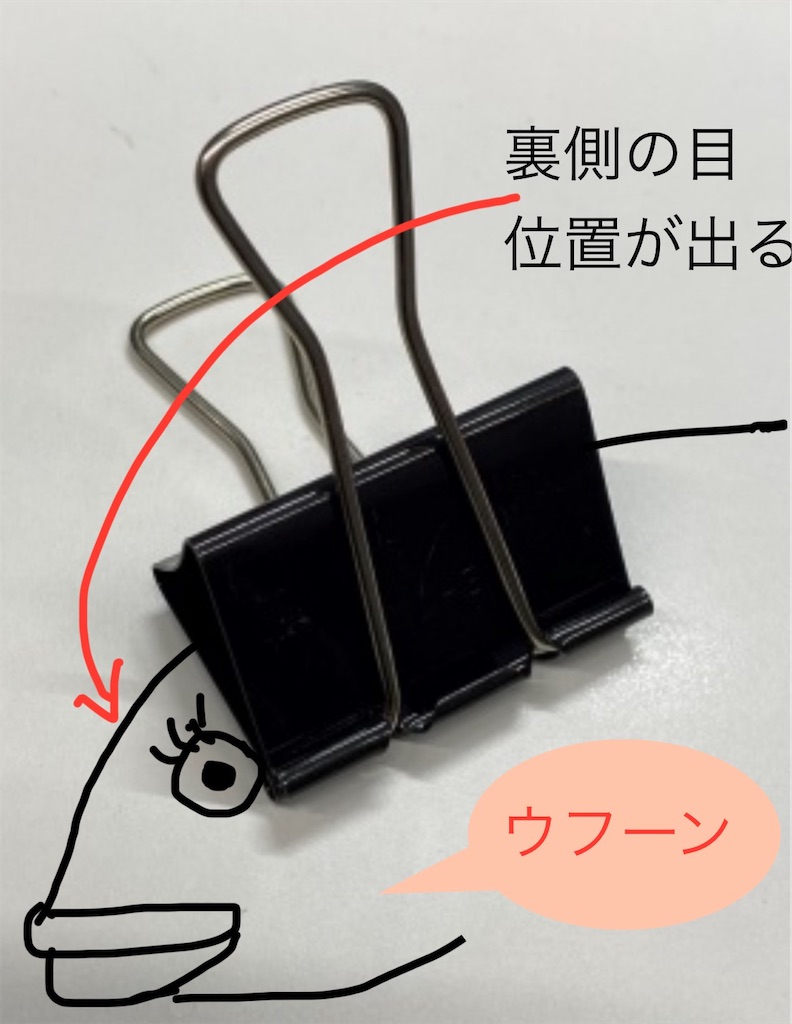 f:id:pirokitan:20241121145858j:image