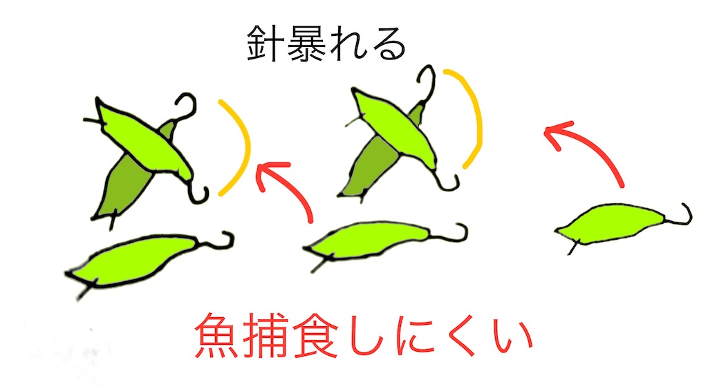 f:id:pirokitan:20241212164437j:image