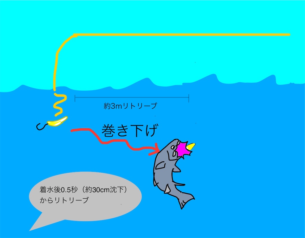f:id:pirokitan:20241217161244j:image