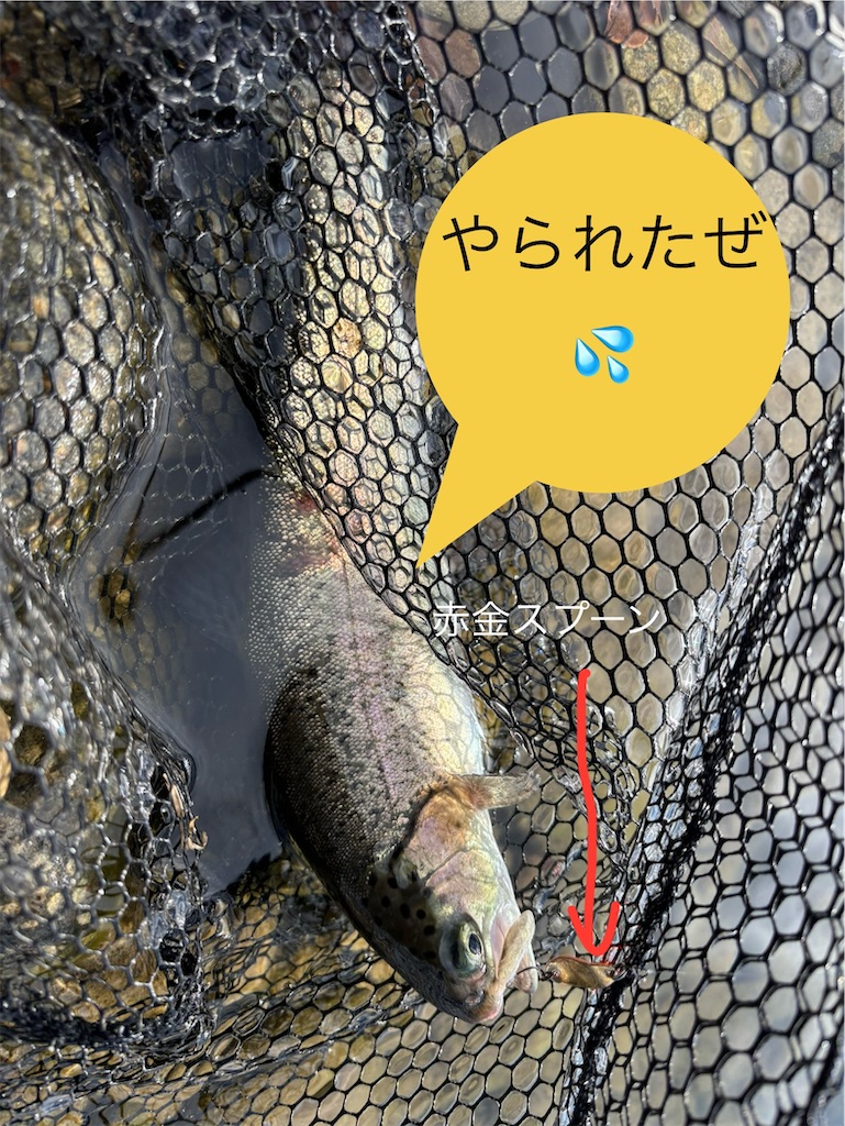f:id:pirokitan:20241217170647j:image
