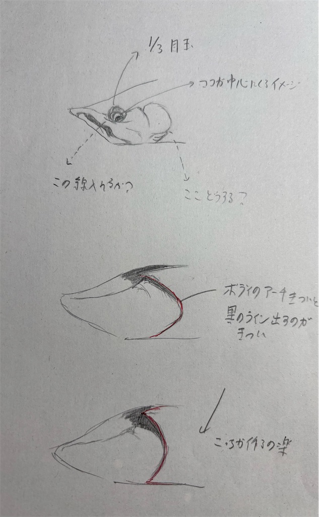 f:id:pirokitan:20241221141127j:image
