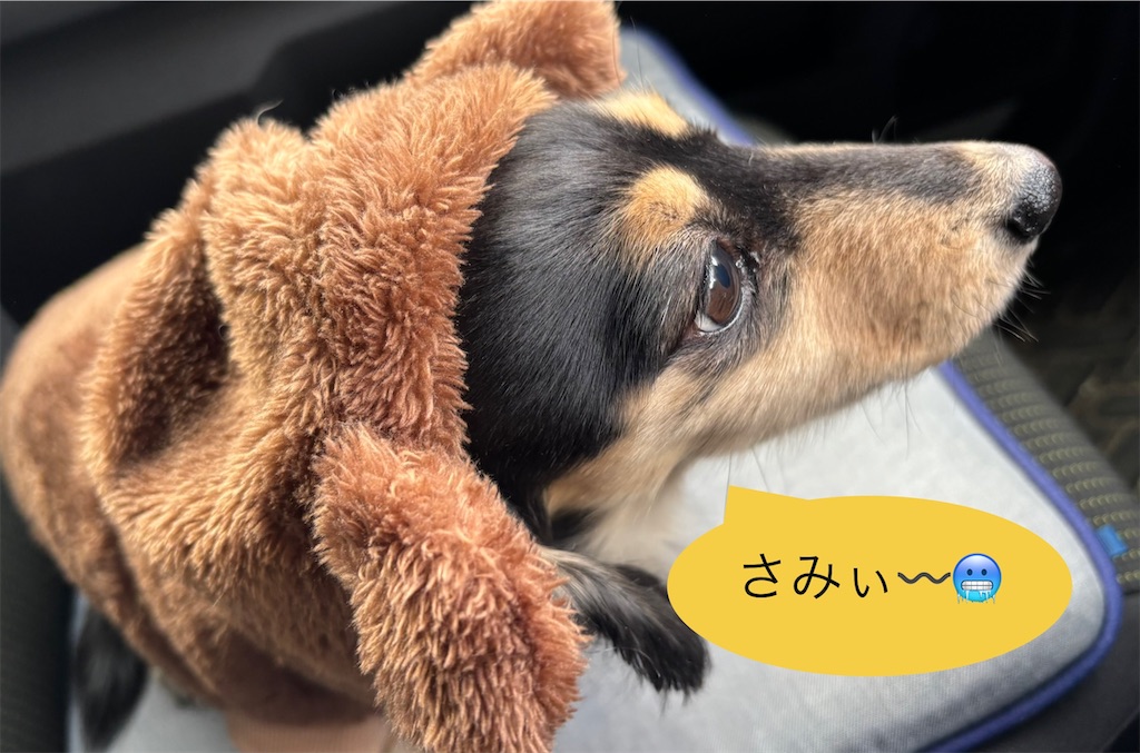 f:id:pirokitan:20250105120409j:image