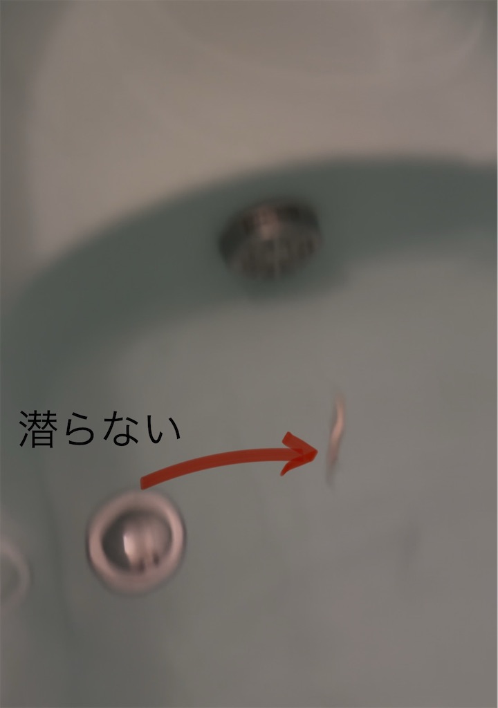 f:id:pirokitan:20250105184449j:image