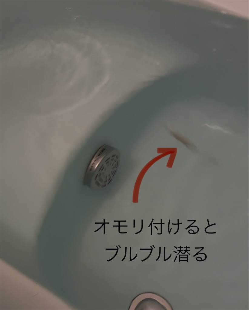f:id:pirokitan:20250105184507j:image