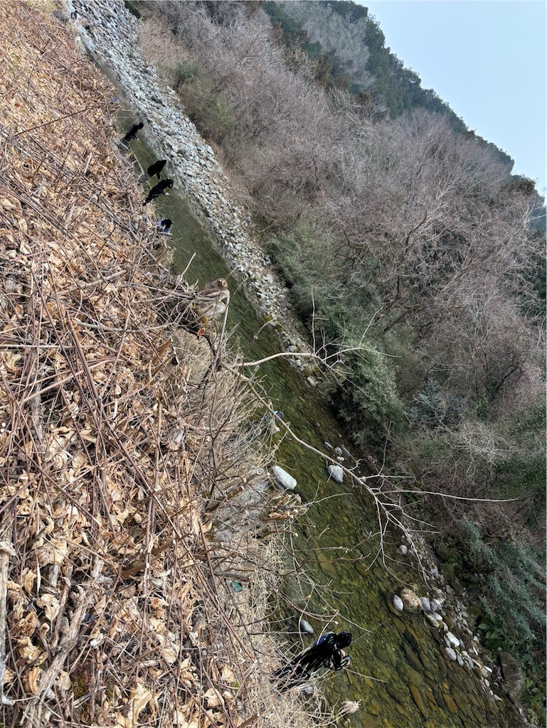 f:id:pirokitan:20250201192924j:image