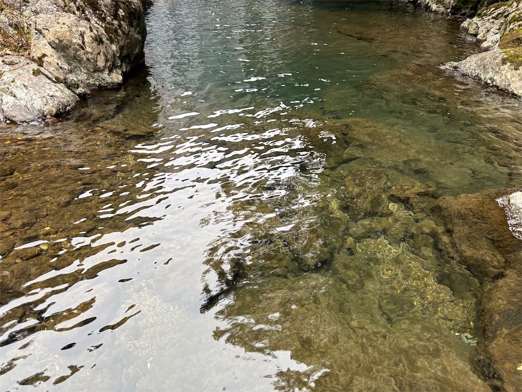 f:id:pirokitan:20250201232821j:image