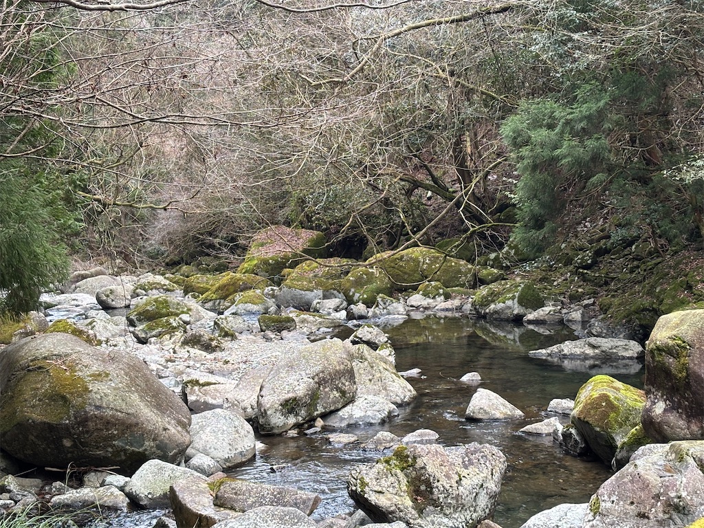 f:id:pirokitan:20250202065441j:image