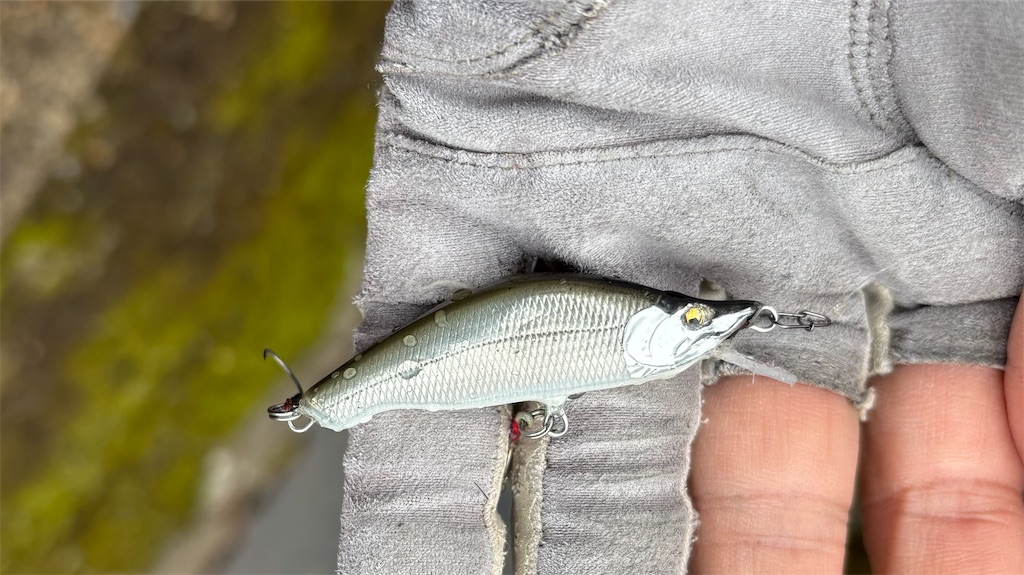 f:id:pirokitan:20250202092832j:image