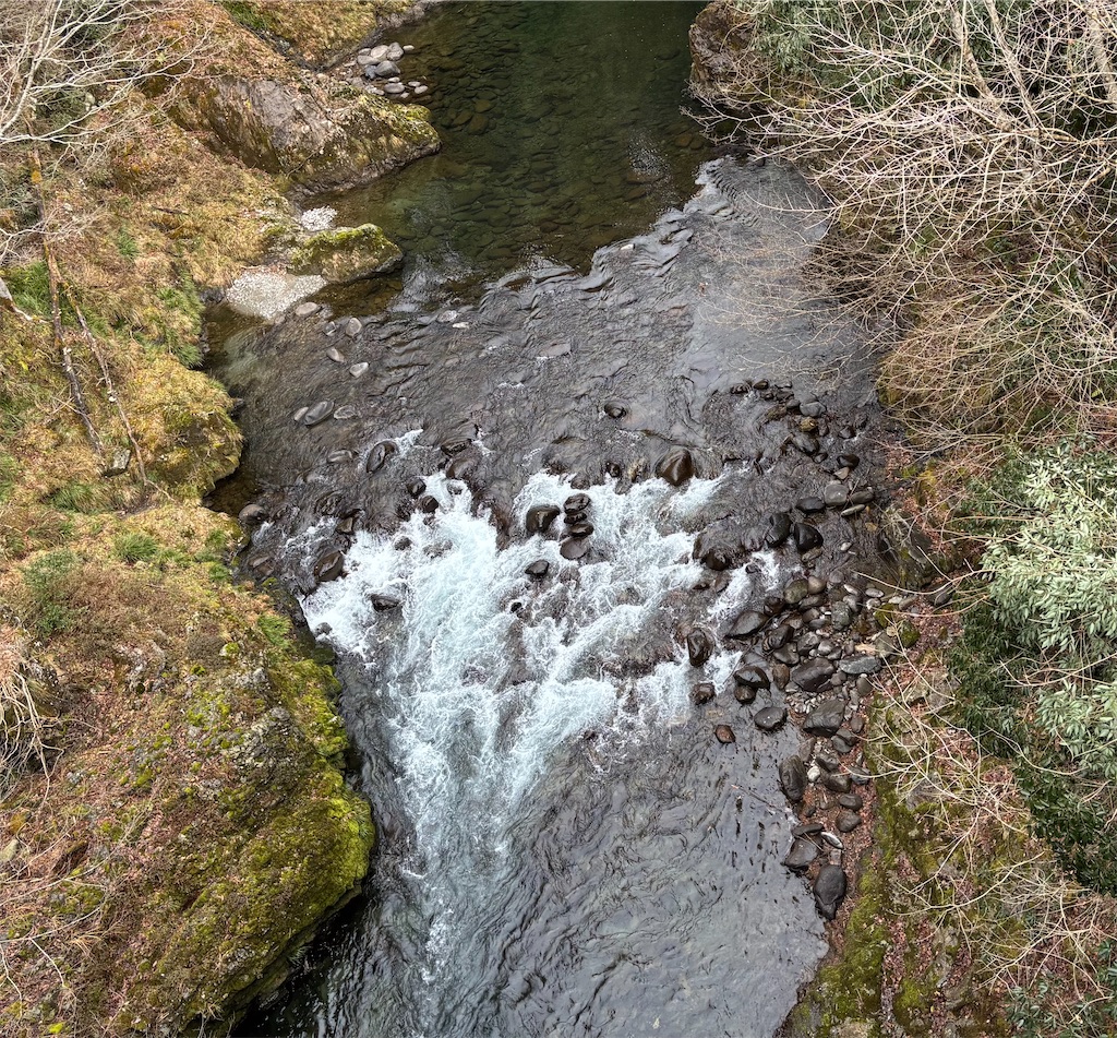 f:id:pirokitan:20250203070101j:image