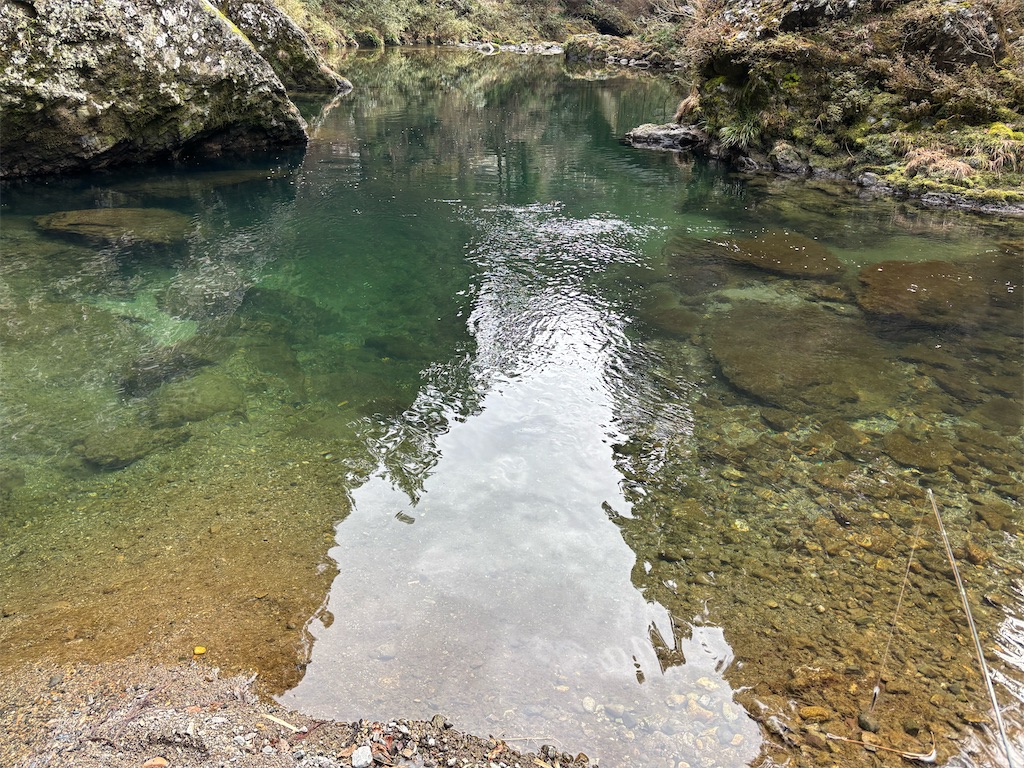 f:id:pirokitan:20250203105817j:image