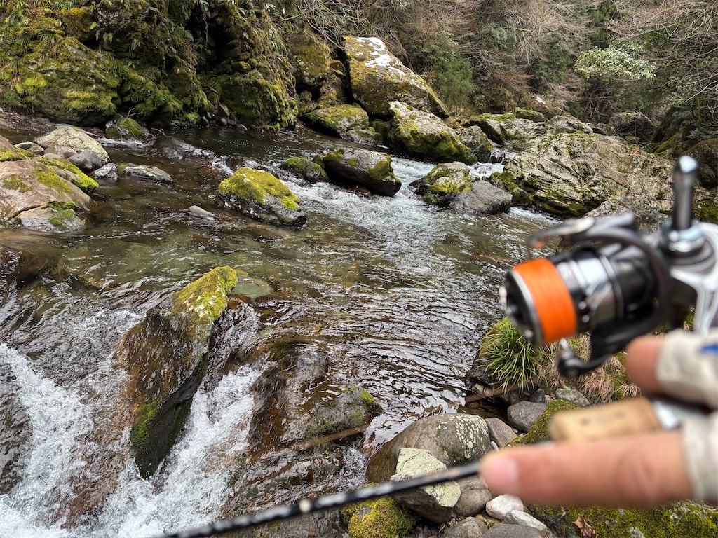 f:id:pirokitan:20250203105847j:image