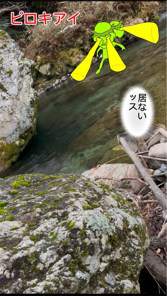 f:id:pirokitan:20250203131858j:image