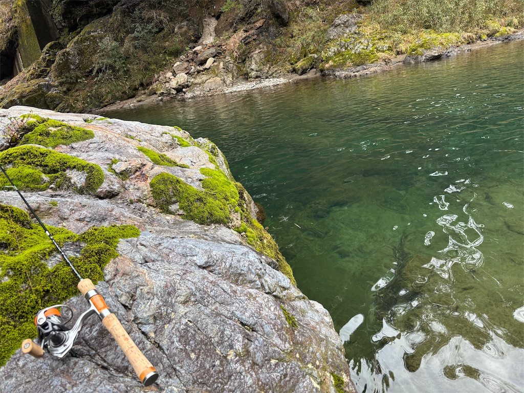 f:id:pirokitan:20250203132106j:image