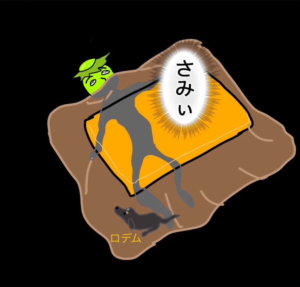 f:id:pirokitan:20250213233016j:image