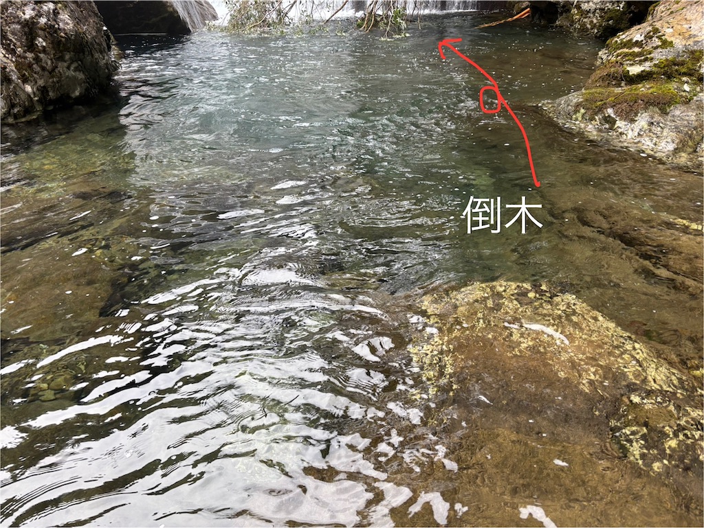 f:id:pirokitan:20250310221834j:image