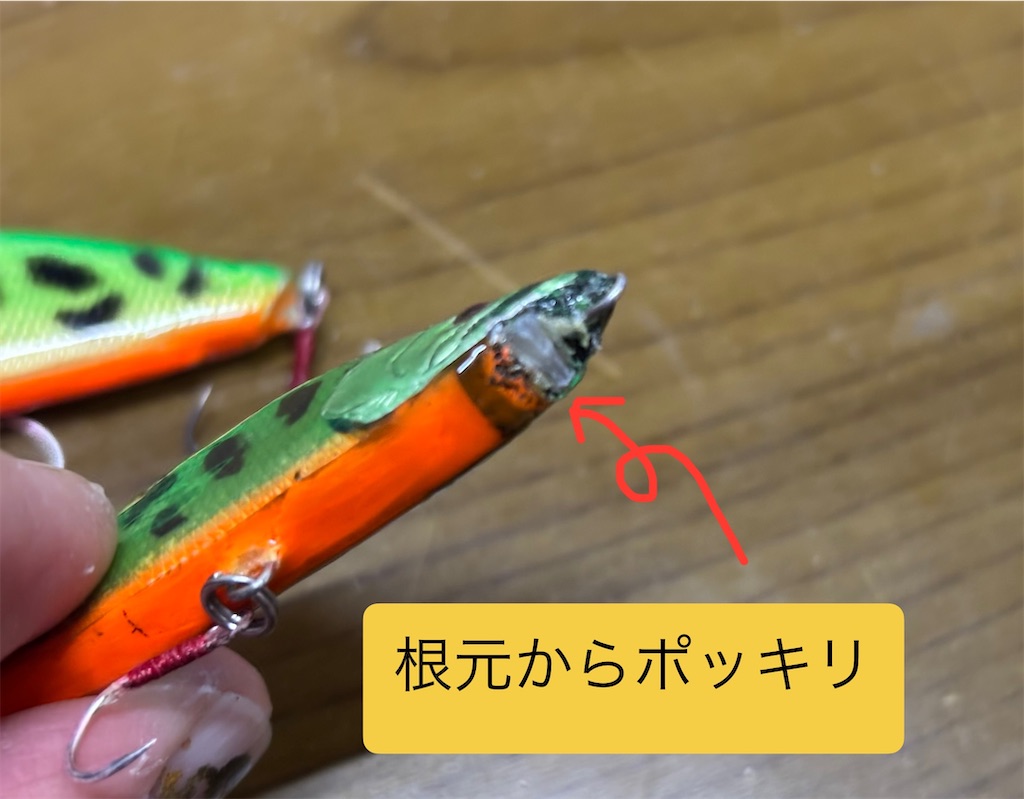 f:id:pirokitan:20250316161653j:image