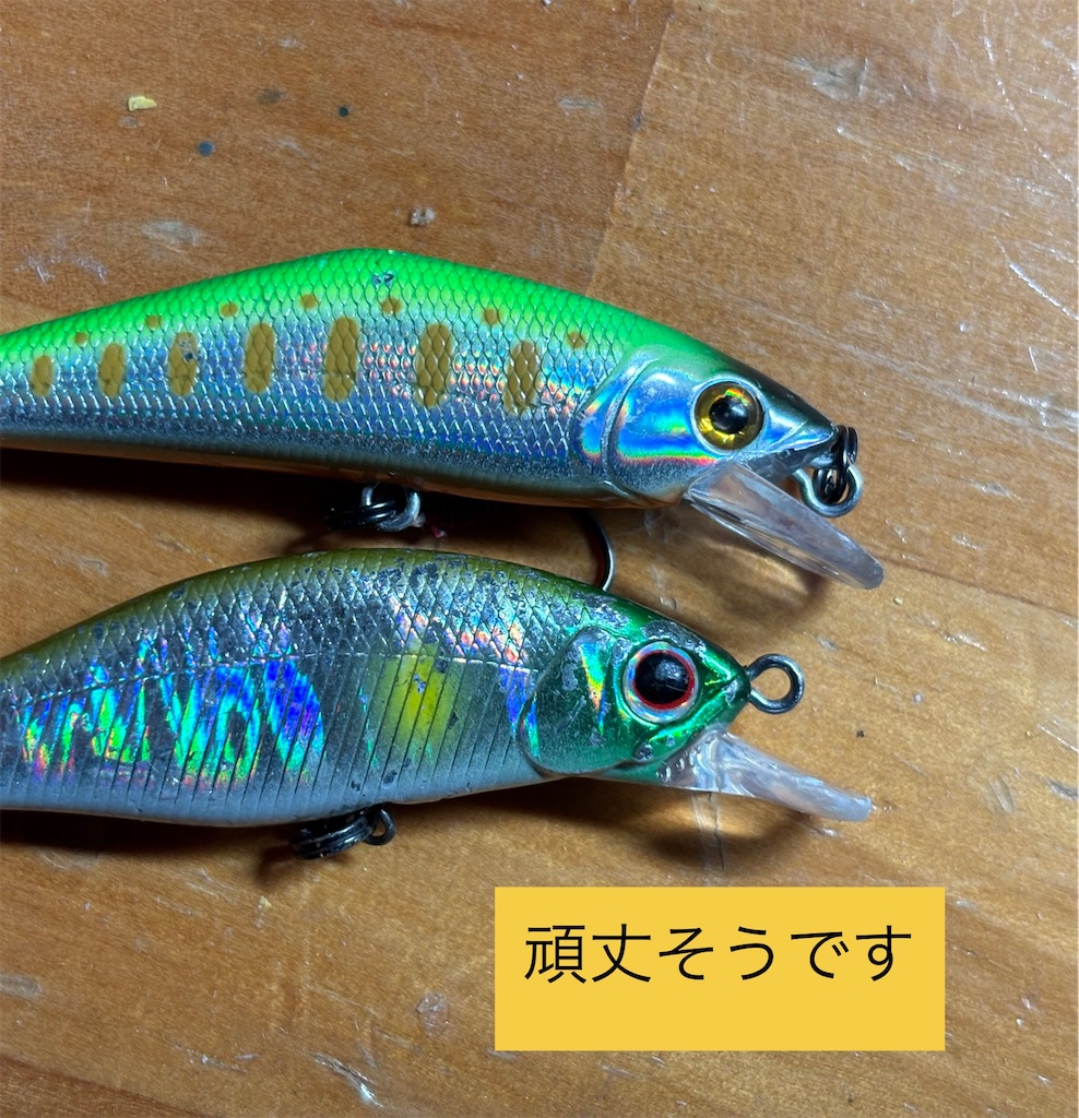 f:id:pirokitan:20250316165018j:image