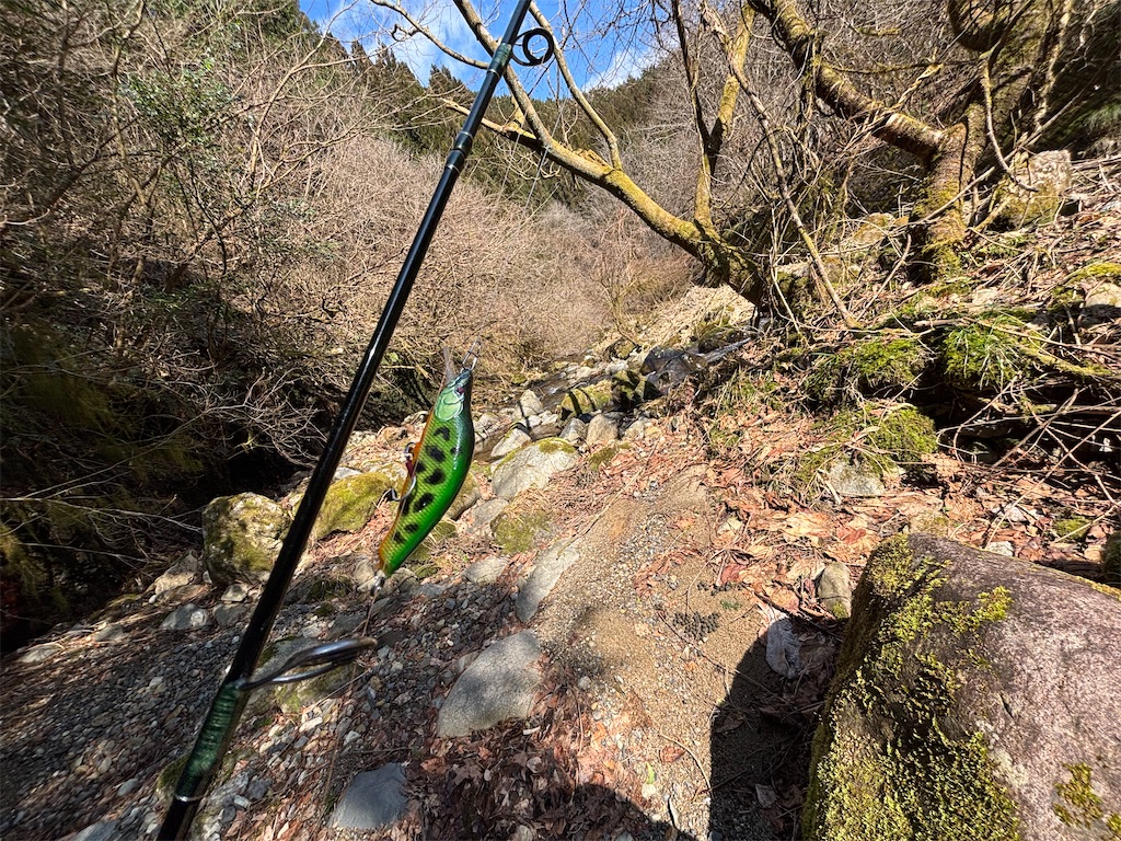 f:id:pirokitan:20250320193602j:image