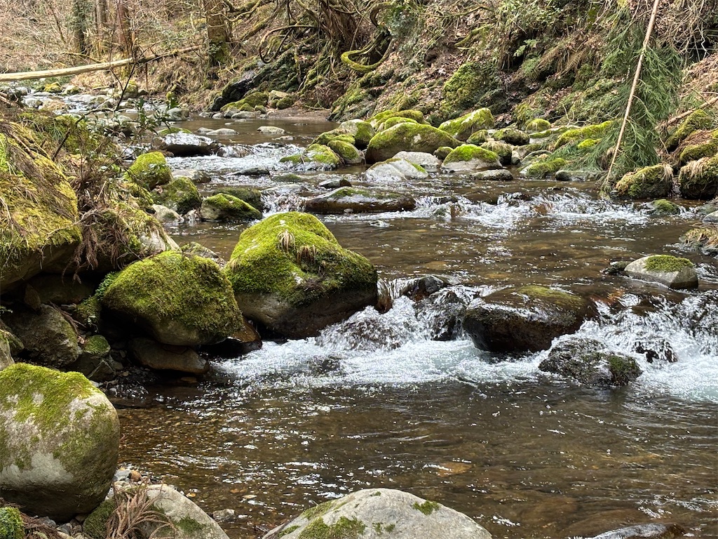 f:id:pirokitan:20250320193645j:image