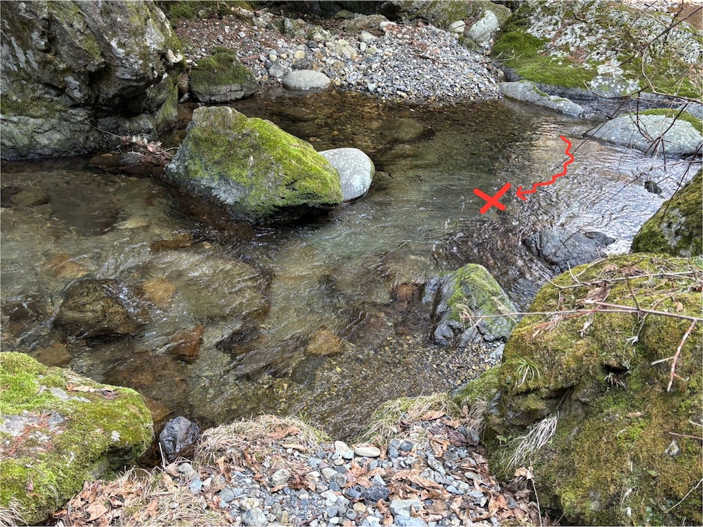 f:id:pirokitan:20250320194349j:image