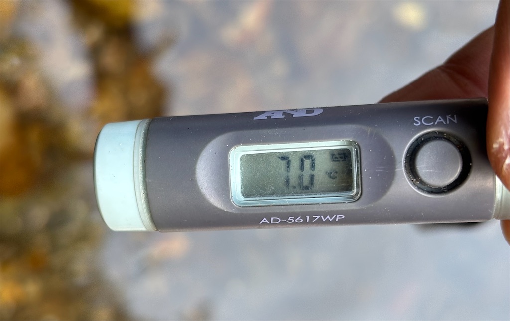 f:id:pirokitan:20250320212232j:image