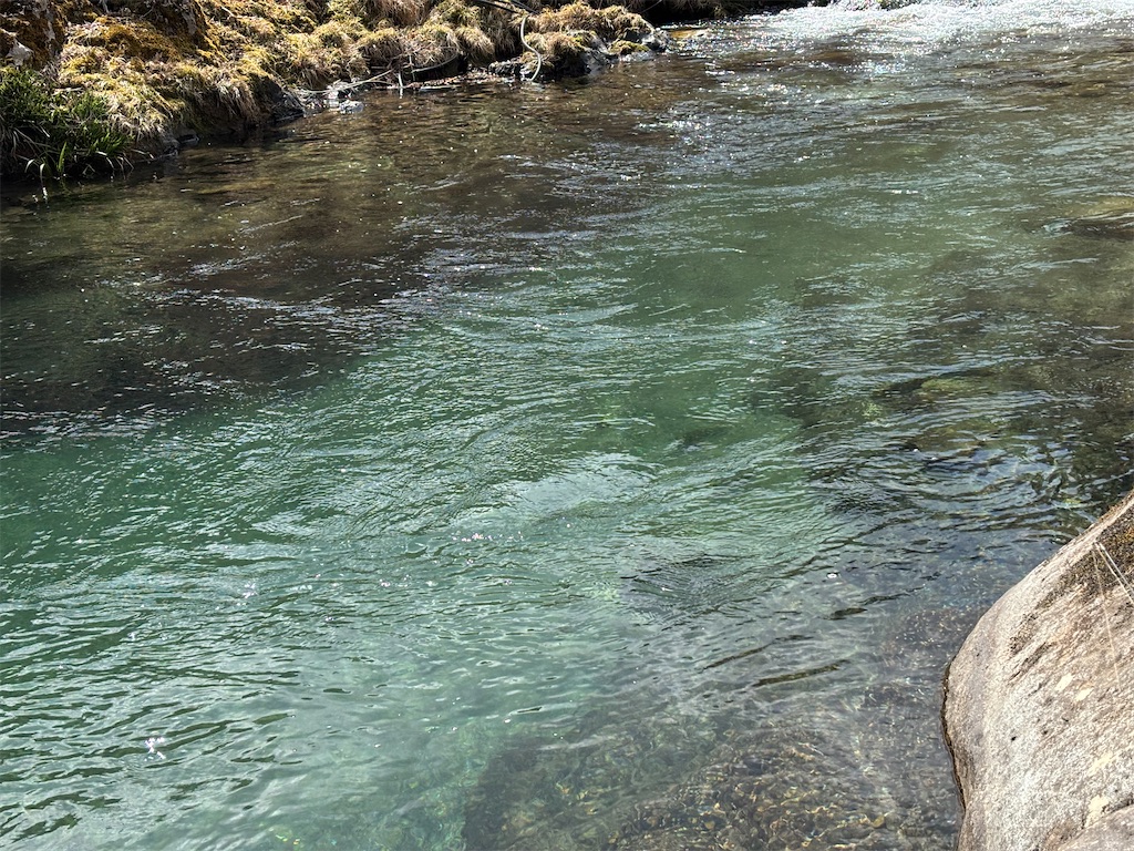 f:id:pirokitan:20250321070218j:image