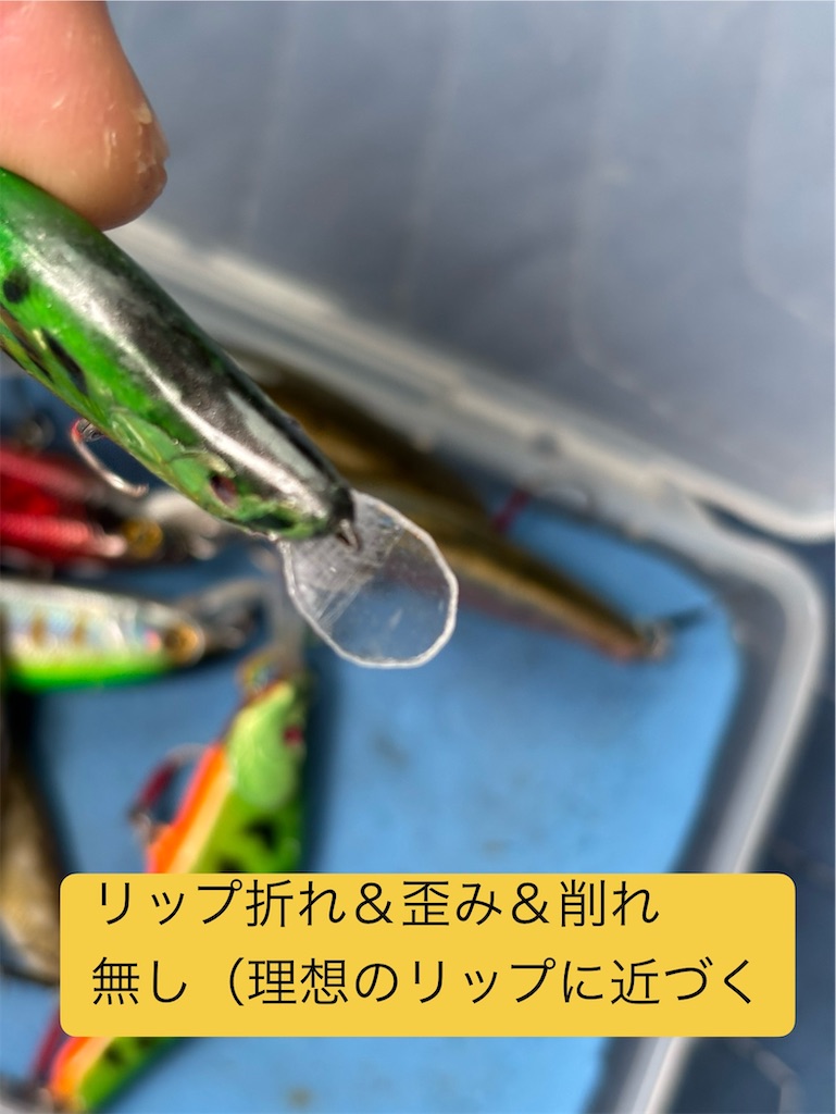 f:id:pirokitan:20250321071725j:image