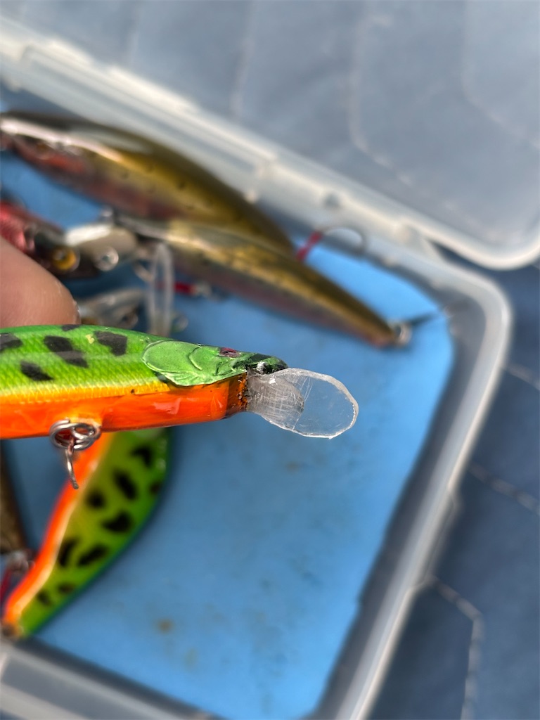 f:id:pirokitan:20250321071806j:image