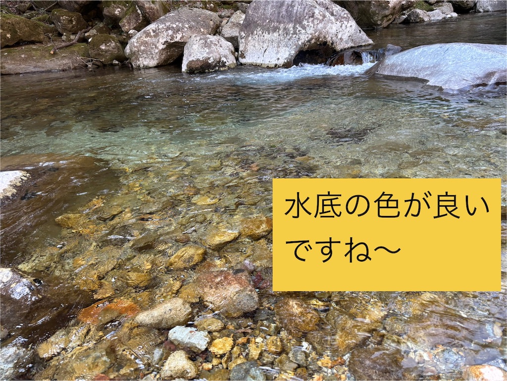 f:id:pirokitan:20250327164115j:image